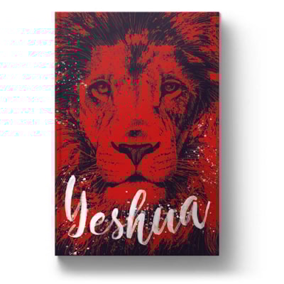 image_684f1087-22fe-413e-9ad8-5a0d09a70bca