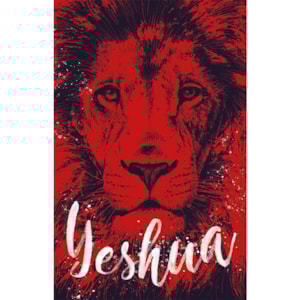 Bíblia Sagrada Yeshua | ARC | Letra Normal | Capa Dura