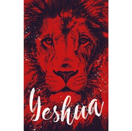 Bíblia Sagrada Yeshua | ARC | Letra Normal | Capa Dura