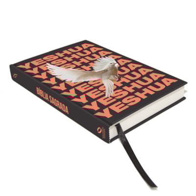 image_1ff5f036-35e5-464c-92e5-64bbf27d5bd4