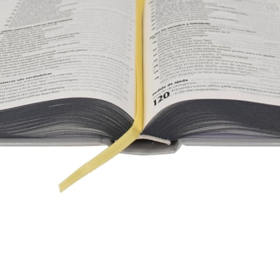 image_40a03199-4178-405b-9d34-dcf49690fd6a