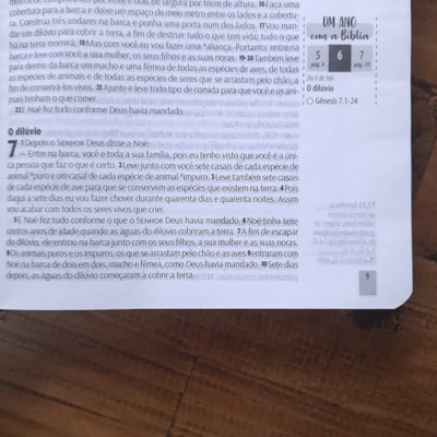 image_185bc3de-1eda-4fed-a8ed-c314e482e5d3