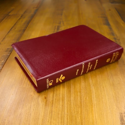 image_edb327da-ddf9-4f34-9fd4-8f97769cf265