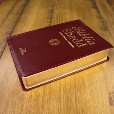 image_be1d7532-4380-4782-b704-33b29480b09d