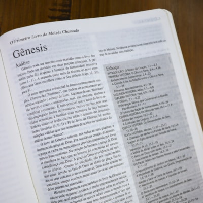 image_a3aa136e-29fe-4b47-ba65-497b561bd969