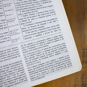 Bíblia Shedd | ARA | Letra Normal | Capa Couro Vinho Bonded