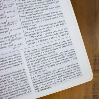 image_e9aa32b8-69ba-4156-96cd-8a761ce3c5d6