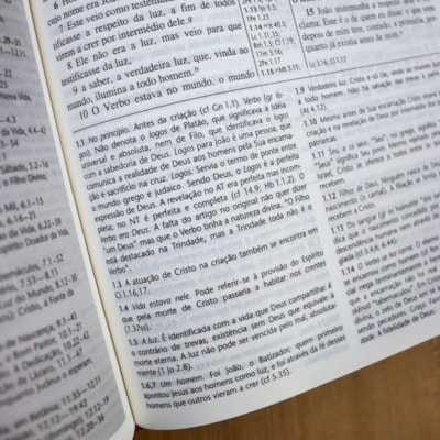 image_4d5ad5ec-edb0-4447-9615-e5d02b31b9ac