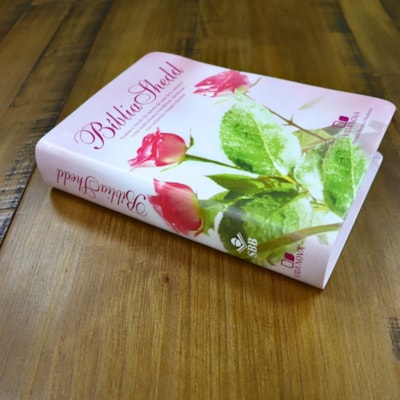 image_74080bdc-c65e-4b8c-a456-4fb5472e398a