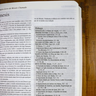 image_68e59588-e51d-4f55-990b-bb7386301355