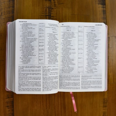 image_d70f8120-946e-4a26-83e9-6001f2a3528e