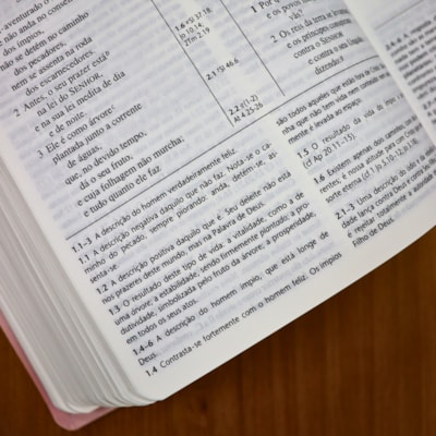 image_d98edaba-f53e-4f70-83f1-0afef4c91f1d