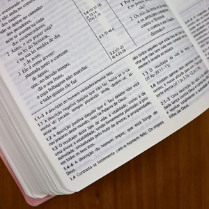 Bíblia Shedd | ARA | Letra Normal | Capa Feminina