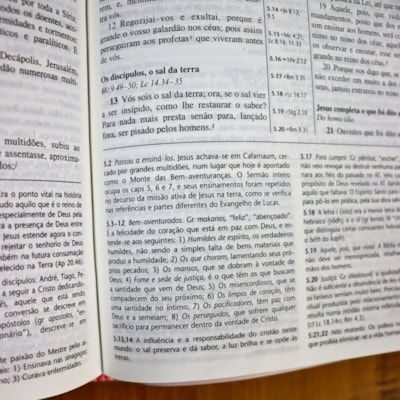 image_7704b197-00af-4ea5-877c-49f5eaf983ef