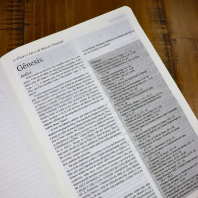 image_298575b1-beff-4e71-b60f-5c9ea95c6041