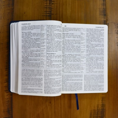 image_d53d71ad-7d8b-40dc-9022-b10c8d1c2280