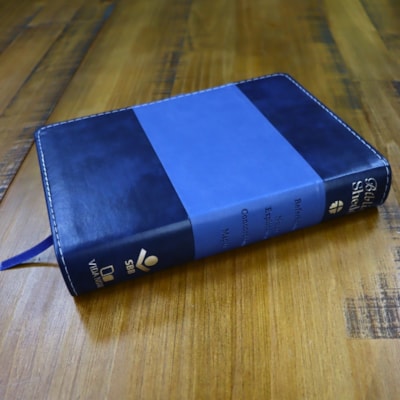 image_7177c122-40a8-4f05-a487-7be316d6dc50