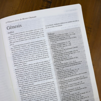 image_d7081d70-5513-4f14-9866-daf3f0b1d641