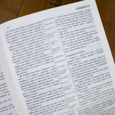 image_b05b363a-28de-4c3c-b6d2-a6f257834540