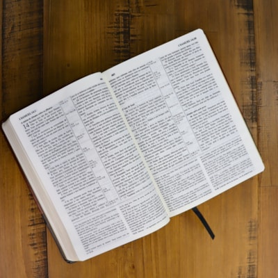 image_cc61bd61-d4af-4df6-bf31-f82875cba3d7