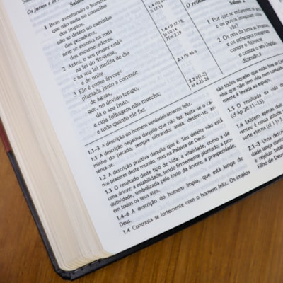 image_28e8a697-6631-42c8-b22b-5a15be46e3e7