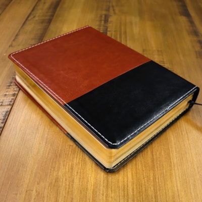 image_844ca2fb-4c6b-4a63-b9c6-57181369f61a