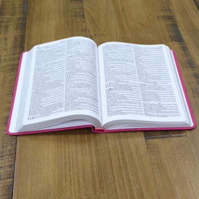 image_3162a26d-68db-42b0-b0bc-3614eb360e34