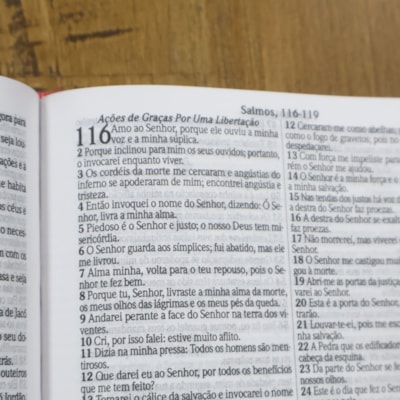 image_256d2e71-740b-46ec-a166-5291f2838a21