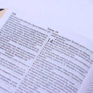 Bíblia Slim | ARC | Letra Normal | C/ Harpa e Corinhos | Capa Semiflexível Vinho