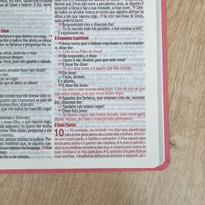 Bíblia Slim | ARC | Letra Normal | Capa Semiflexíve Pink e Rosa