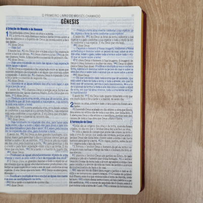 image_d3d927b1-3b5d-4d5d-8596-cbe37c6d372a