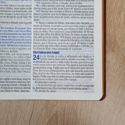 image_19446e0e-7a61-4bb2-aed4-29626ee64078