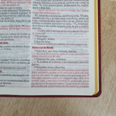 image_09995e81-dcd0-4013-838c-5dde97273962