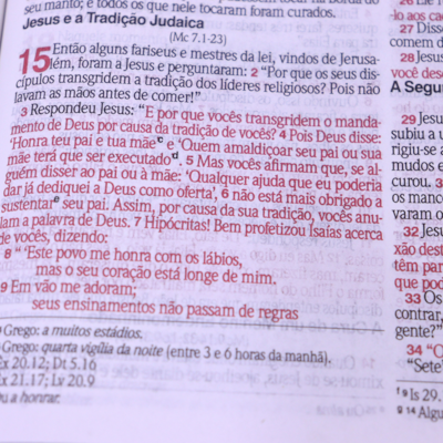 image_482ed4d6-4cd4-42ec-8616-52467fd09497