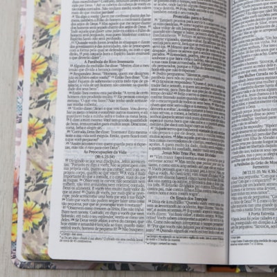 image_78553788-9af2-47f9-aa97-ed05e86129e0