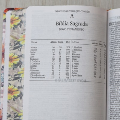 image_e806dcee-e5bb-4421-9831-8976f4bbcd80