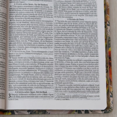 image_e593dd33-2916-4ab4-b5ae-58b6cd803ca0