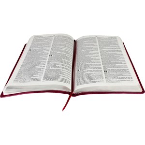 Bíblia Slim com Harpa Cristã | Letra Normal | ARC | Púrpura Nobre