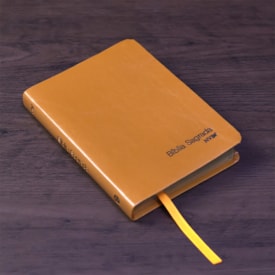 Segunda imagem do produto Bíblia Slim Compacta | NVI | Capa Laranja