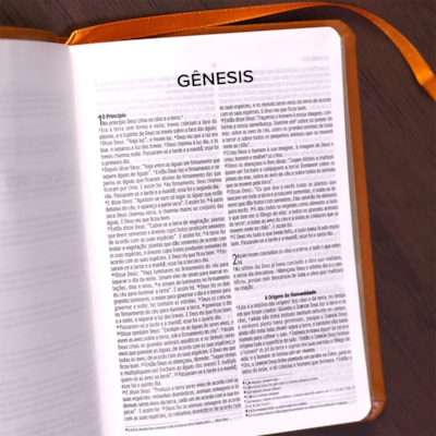 image_67ed4bb9-c13c-4f32-a745-9fbcf8508ff3