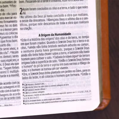 image_fdad9501-2216-46c1-b50f-45761bcba3de