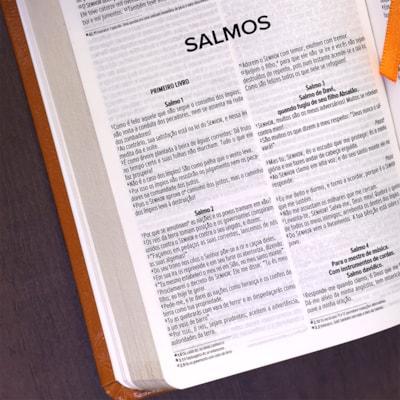 image_d3a2fc66-83ec-4138-954e-d934467ed3b7