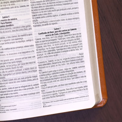 image_9e1731ca-4081-4508-9275-03500443eaa2