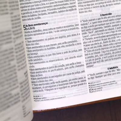 image_387fa2f3-f9a3-4e7a-badc-b8448a6c32ec