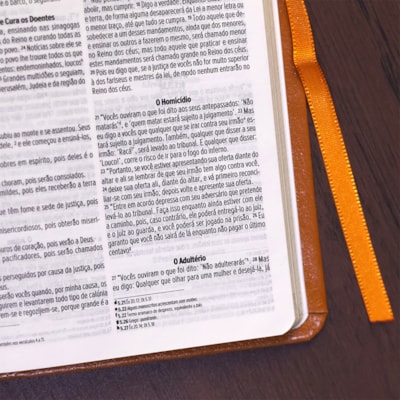 image_35831fbf-1391-40de-9e5a-3f9ea321f4b5