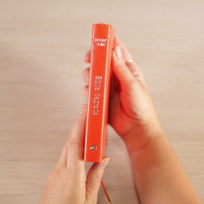 image_e42fdfc9-d6a6-4268-8ca3-50b9814d2082