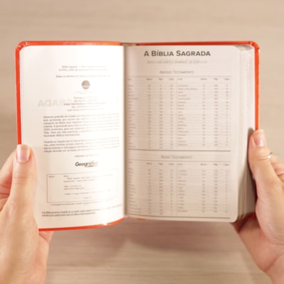 image_ce8248bd-0737-4717-8ac4-3e3c4f42e258