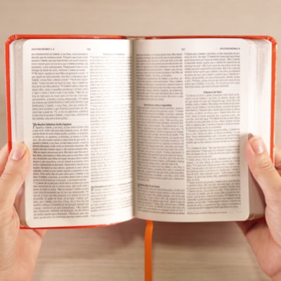 image_33e7e998-cba4-407a-8039-b4c27e171be8