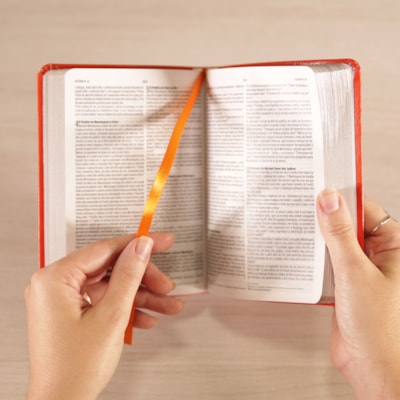 image_9271c304-8b5a-4c92-b6be-56a7b1d8738c