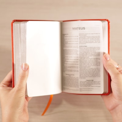 image_1ab72716-dcd4-45fe-aeb9-3c3cf5aea2ec